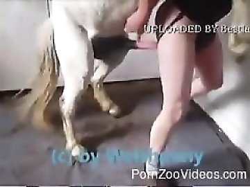 Horse porn compilation